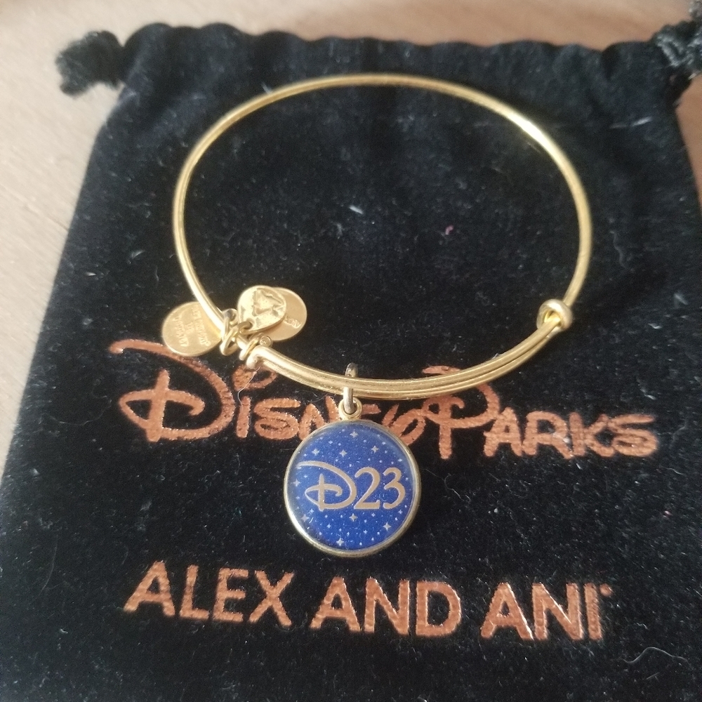Alex and Ani Disney D23 Expo Charm Bangle